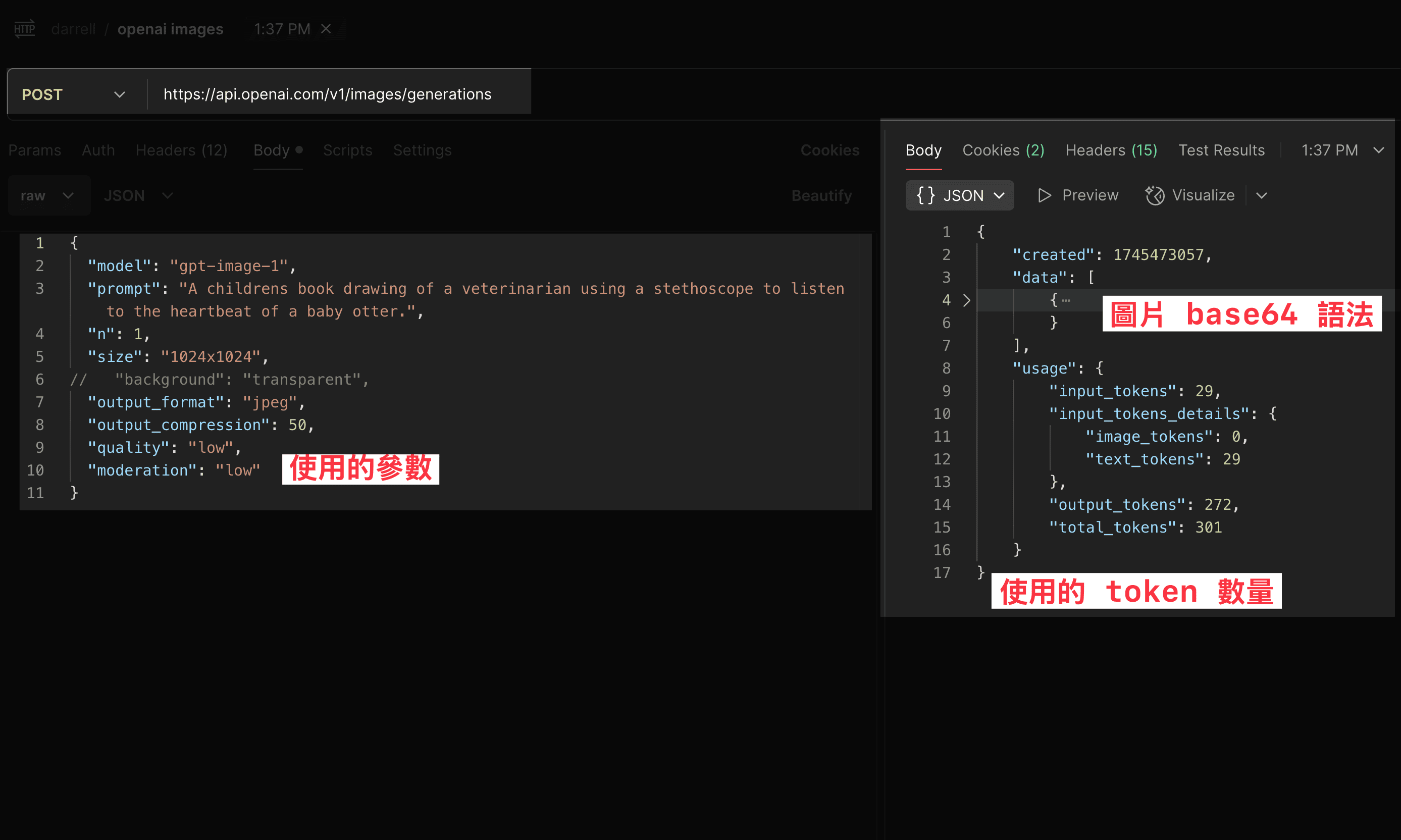 gpt_1_image-curl_snippet
